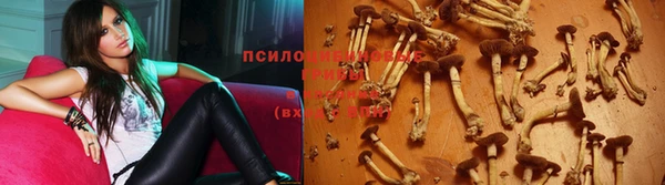 круглые Абаза