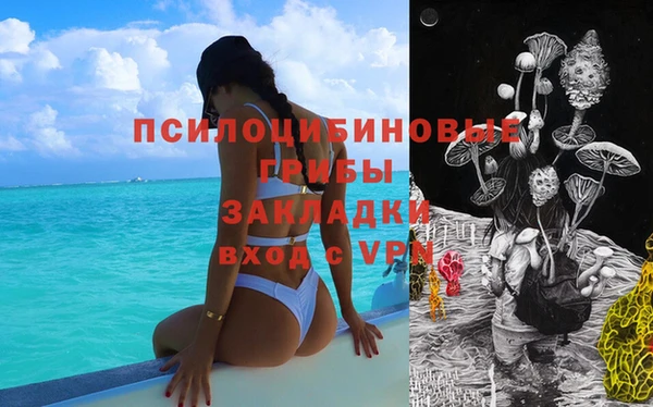 гидра Абинск