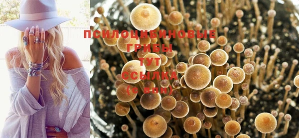 apvp Абдулино